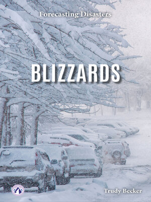 cover image of Blizzards